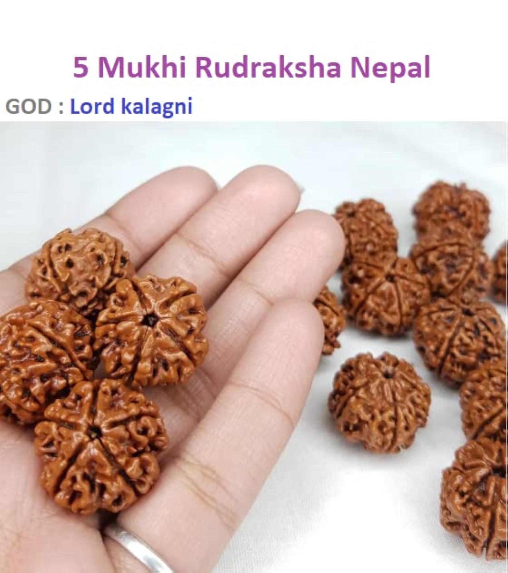 5 Mukhi Kalagni Rudraksha Brown Beads, Lab Certified